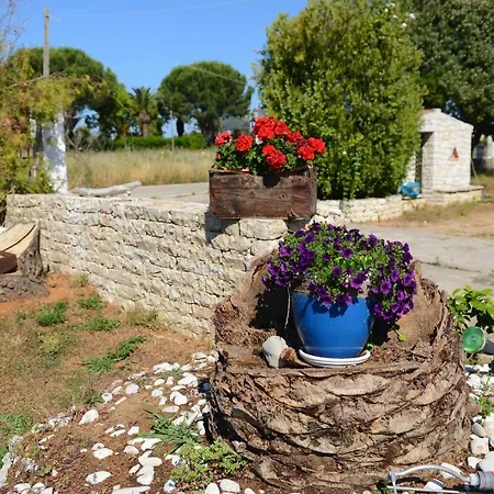 Anna Studio *